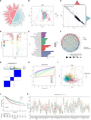 Developing a machine learning-based prognosis and immunotherapeutic response signature in colorectal cancer: insights from ferroptosis, fatty acid dynamics, and the tumor microenvironment